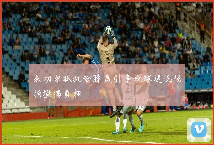 米切尔抓托哈膝盖引争议球迷现场拍摄揭真相