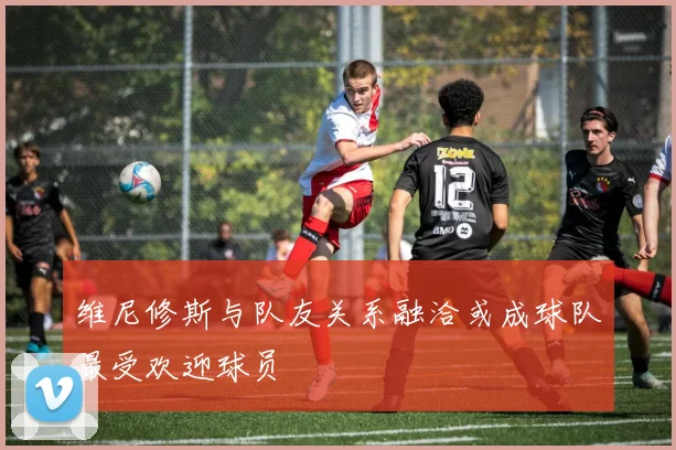 维尼修斯与队友关系融洽或成球队最受欢迎球员